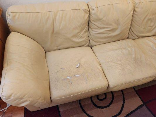 Our couch before