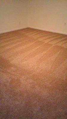 Brand new carpet we just installed