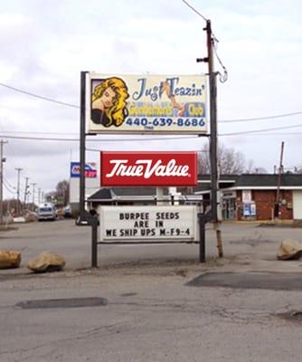 Major True Value pylon signage in Painesville, OH