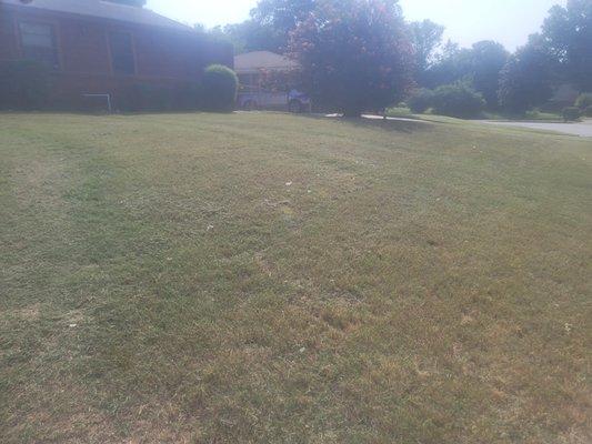 1 of mycustomer yard in memphis