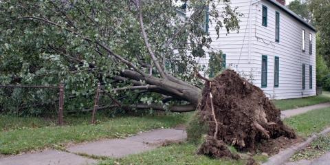 Gillum's Tree Service