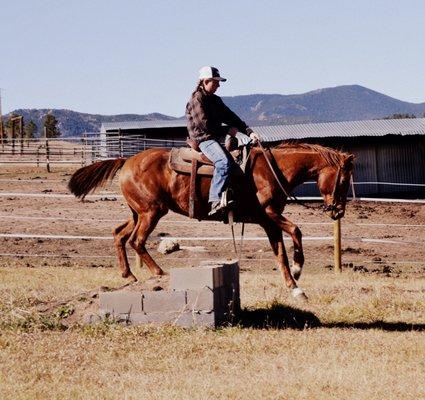 Our Trainer, Brittnee, working with a horse.