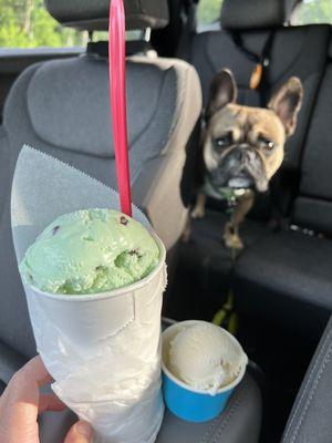 Mint choco milkshake and a vanilla doggie cup.