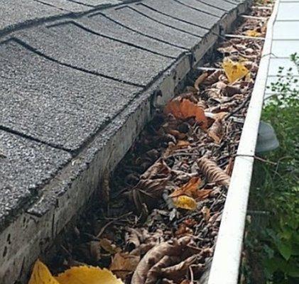 Single Story Gutter cleaning $80.00 flat fee