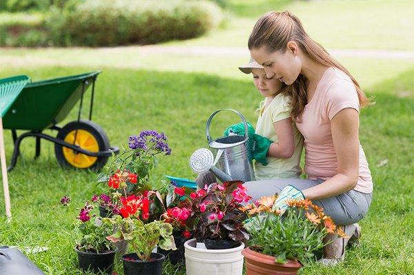 Lawn and Garden Supplies