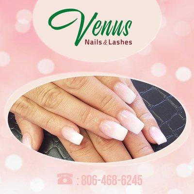 Venus Nails & Lashes