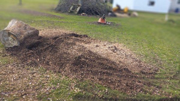 Stump grinding in Lockport