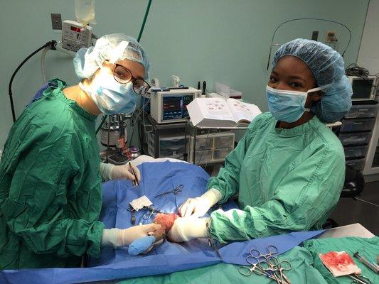 Dr. Mari-Ashli Foy (right) in surgery.