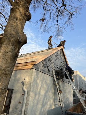 Roof installation frame plywood Shingles.