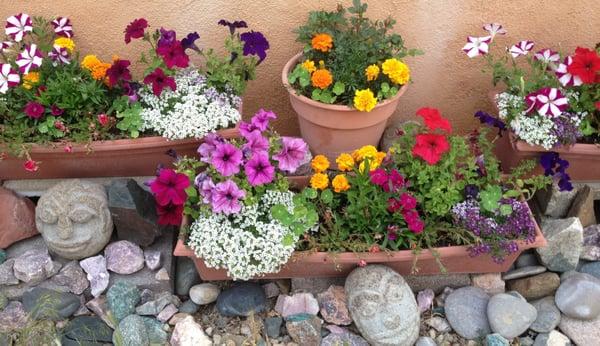 Entrance to the massage area, stones and flowers.