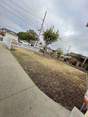 Front yard weeds trimmed and cleaned up and added Round Up weed killer.