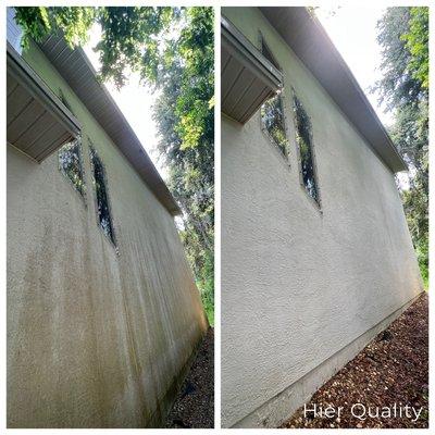 Softwash Mold Removal Building Cleaning