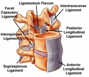 Lumbar Degenerative Disc Disease