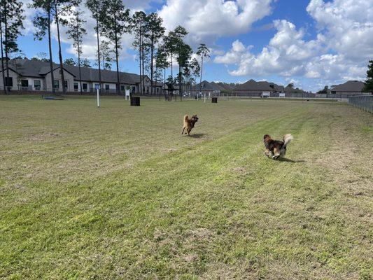 Pretty Acres Dog Park