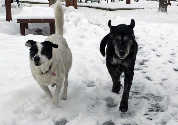 Senior ladies Bella Jane and Likka take flight in the snow