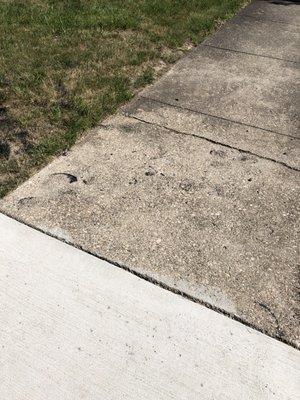 They left footprints on my neighbor's sidewalk after they sealed my driveway.