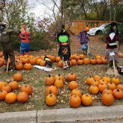 Edina Realty Wayzata - annual pumpkin event!