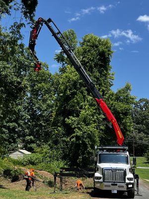 Godspeed Tree Service