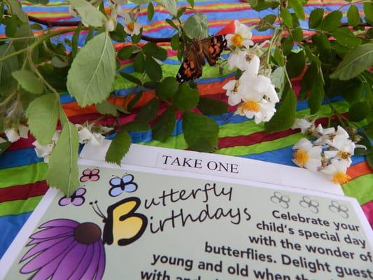 Butterfly Birthdays