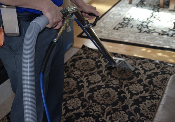 Carpet Cleaning