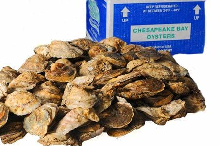 Chesapeake Bay oysters - seafood delivery in Nashville, Southaven, Tupelo, Memphis, Little Rock, etc.