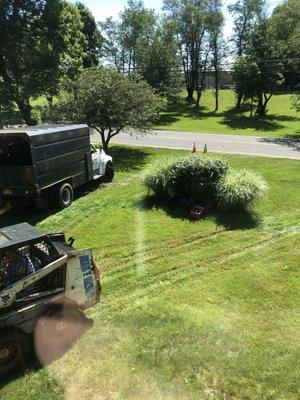 Trenches in lawn from equipment being driven on it.