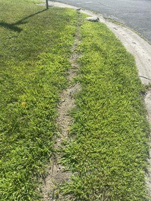 Put some "topsoil" in a rut at my neighbors and again can see same dirt/sand and stone.