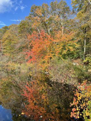 Beautiful fall foliage