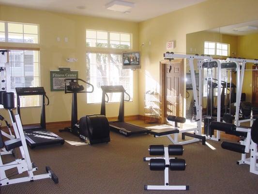 Fitness Room at Springs at Bloomingdale Apartments in Brandon, FL