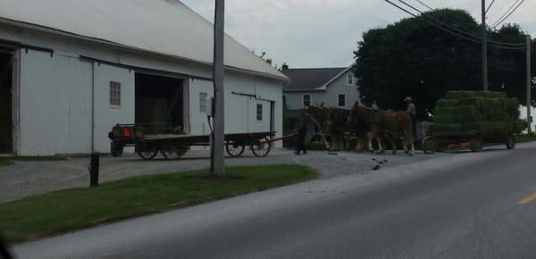 A load of hay, I suppose going into the barn to be stored for winter. A 4 horsepower operation.