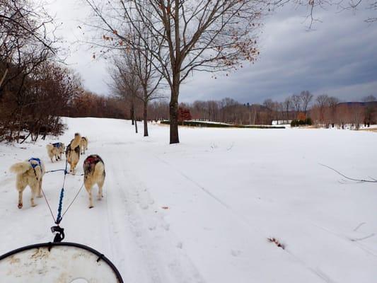 Sledding