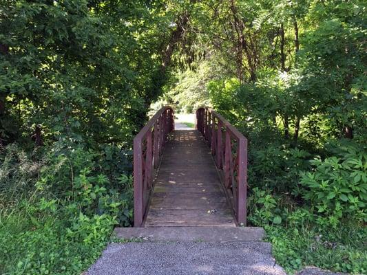 Bridge Over Creek