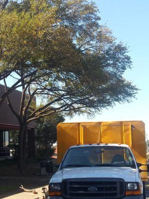 Flawless work done by#
 #Fort Worth Tree Removal Services 
682 220 9065