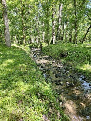 Creek that goes through the park