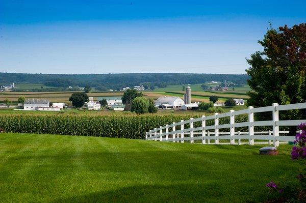 Farmland views