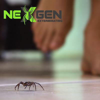 NexGen Exterminating