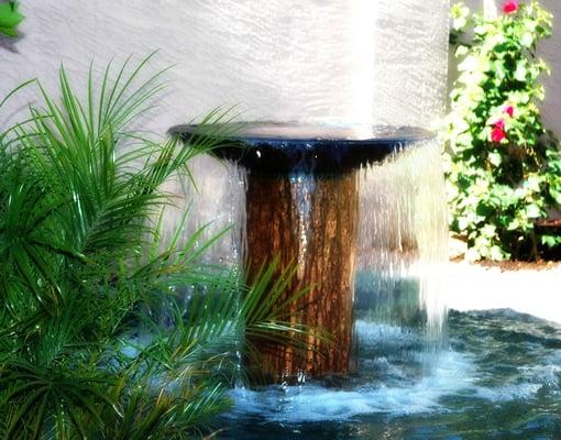 Water Feature