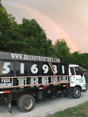 Brandywine Tree Service