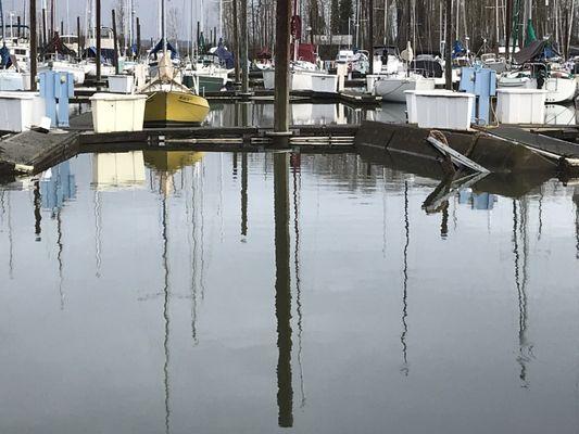 Dock floating in d row