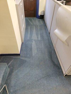 Commercial Carpet Cleaning