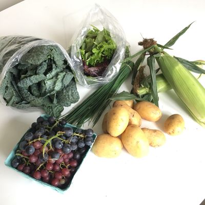 $3 Dino Kale & $5 Grapes (concord, faith, & ??) from Manyard, Troy Waterfront Farmers Market