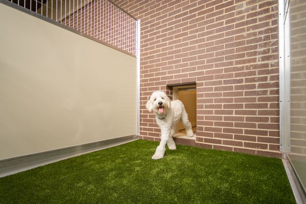 View of the attached outdoor turfed play yard