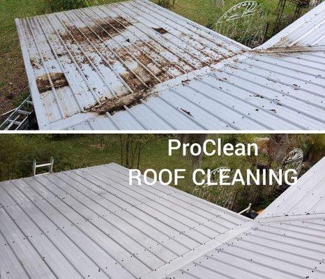 ProClean Power Washing Flint