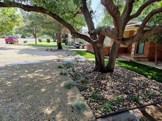 Xeriscaping project in the front lawn!