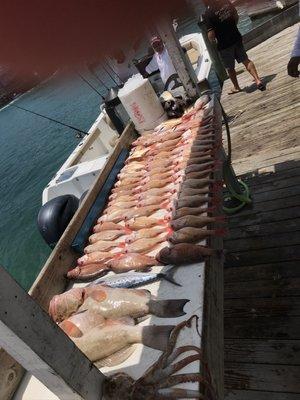 Over 100 fish in the box! Wouldn't even all fit in the photo!!