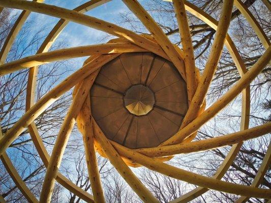 Spruce spiral timber frame rafters.