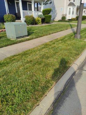 We cut lawns with a professional look, having straight lines and well weed wacked areas.