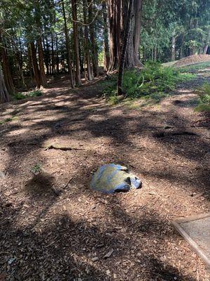 Lake Stevens Disc Golf Course