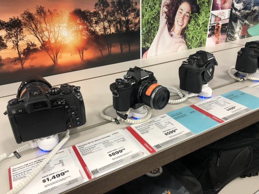 Some mirrorless cameras such as Olympus. (5/10/2019)