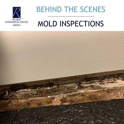 Moldy tack strips are a good indication that water has been seeping into or under a wall.